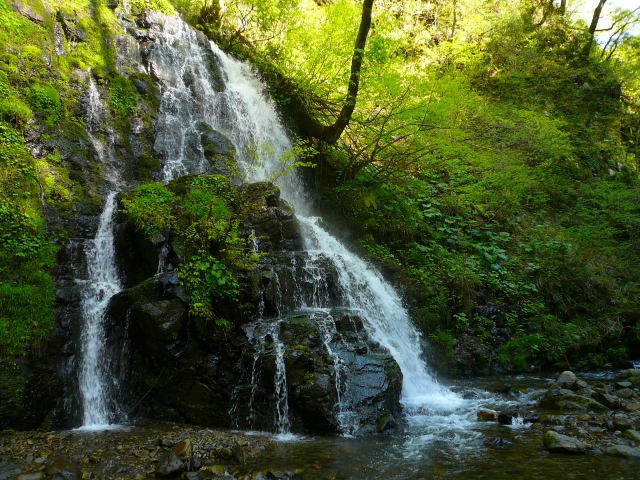 nature