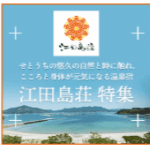 trip20
